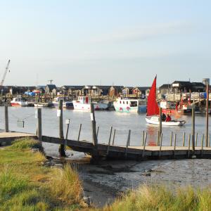 DSC0065