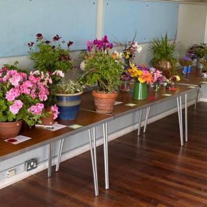 Colourful Arrangement