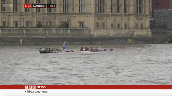 Puffin Passing Palace of Westminster2