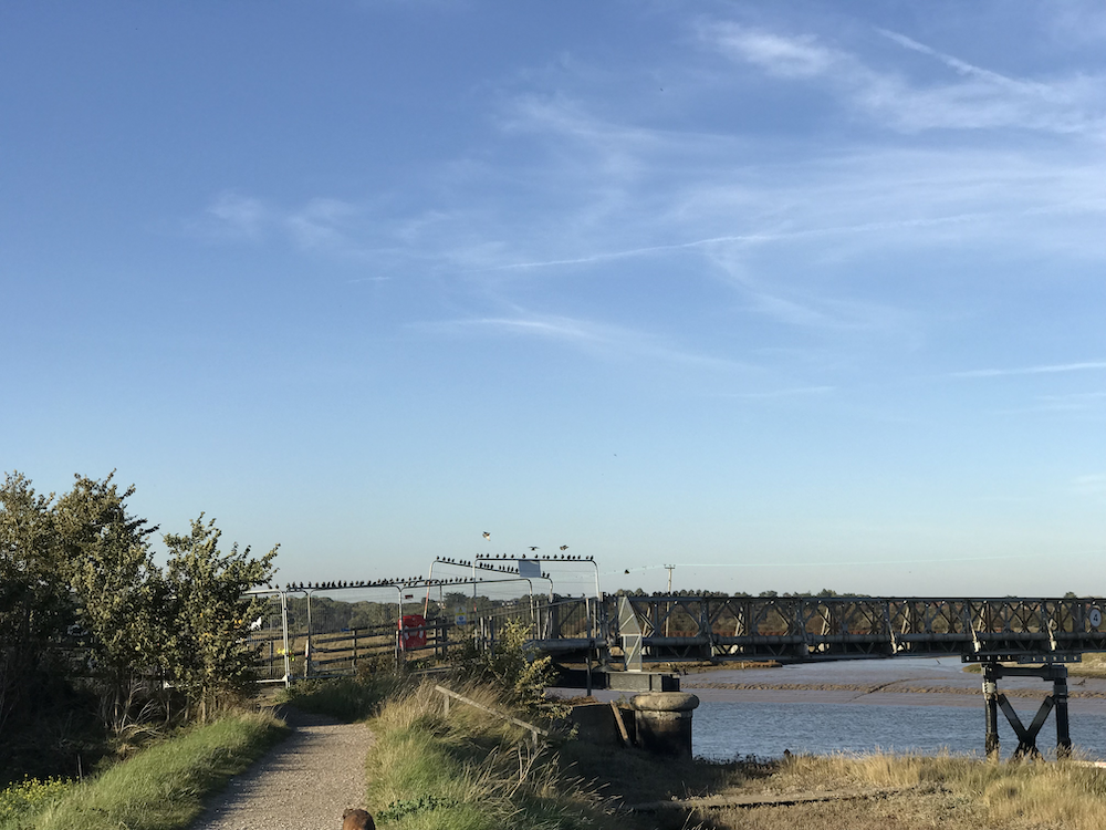 Bailey Bridge Latest