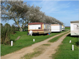 The Caravan Site